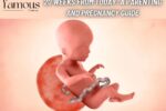 20 Weeks From Today: A Parenting and Pregnancy Guide