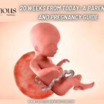20 Weeks From Today: A Parenting and Pregnancy Guide