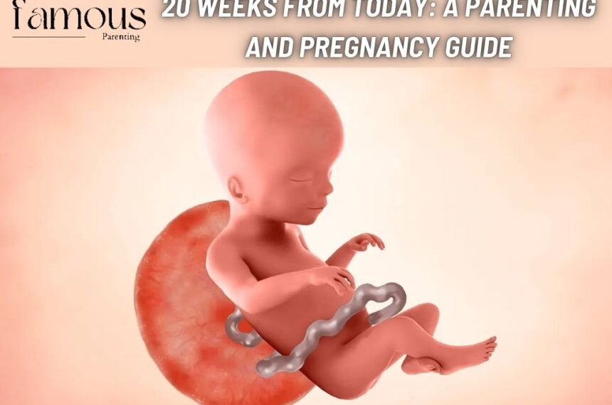 20 Weeks From Today: A Parenting and Pregnancy Guide