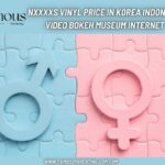 Nxxxxs Vinyl Price In Korea Indonesia Video Bokeh Museum Internet
